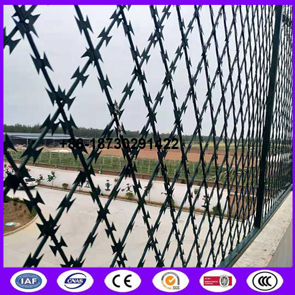 Quality High security welded razor wire mesh with blade type BTO-22 for fence barrier in Prison made in China for sale