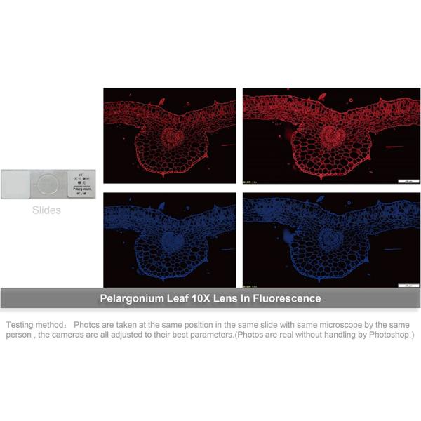 Digital 5G Usb Microscope Camera OPTO EDU A59.4972
