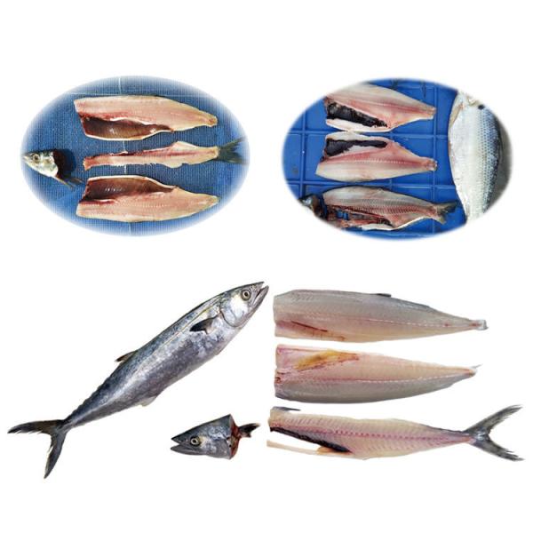 1500w Fish Fillet Processing Machine Reduce Artificial Motor Commercial
