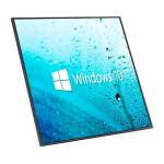 FHD 22" 1920*1080p IPS LCD Screen LVDS Input Signal LCD IPS Display