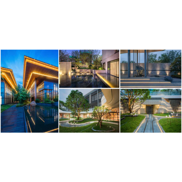 Customizable Energy Saving Top Bend LED Neon Strip with OEM/ODM Services and Custom Solutions for Unique Projects NHT-1212