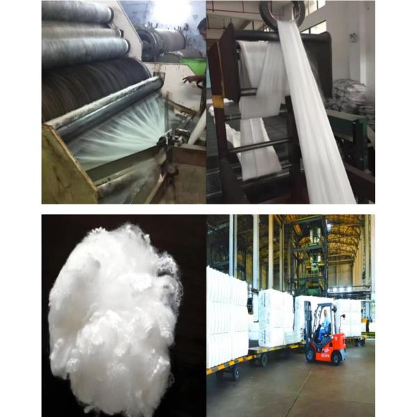 1.5D-51mm Anti-static Full Dull Virgin Synthetic Staple Fiber for Carpet Denier 1.5D-20D Item Nylon 6 Staple Fiber