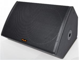 Passive Full Rang Speaker Monitor 15 inch 500W 8ohm For Performance And Event