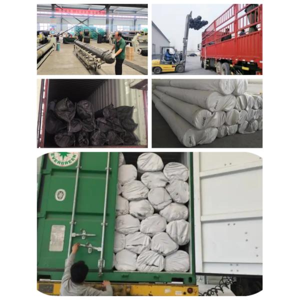 Waterproof Geomembrane Durable Puncture and Tear Resistant Environmentally Friendly