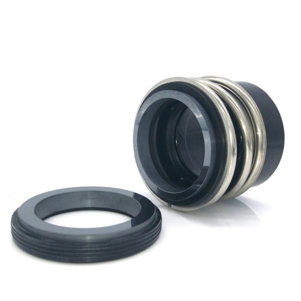 Burgmann MG13 Rubber Bellow Mechanical Seal for rotating equipment