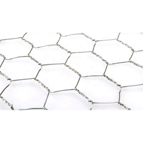 HDG Hexagonal Chicken Mesh Fence Q195 0.5m Width For Poultry