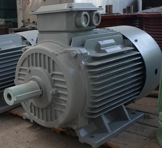 IP54 Permanent Magnet Alternator Magnet Generator Energy Efficient