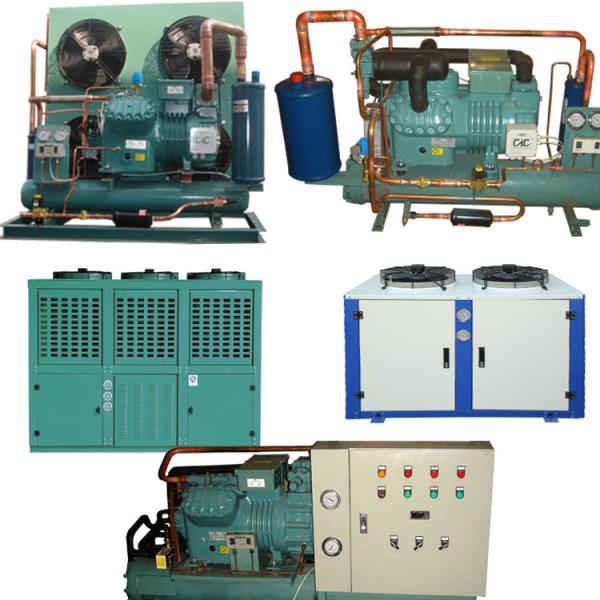 Low Temperature Cold Storage Compressor Cold Room Freezer Refrigeration Condensing Unit
