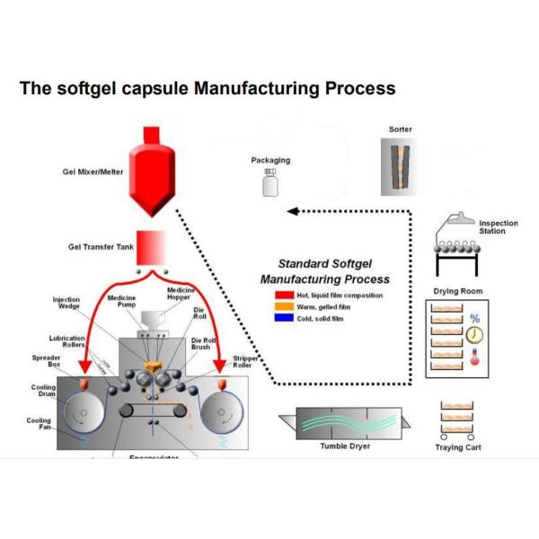 Accurate Paintball Softgel Encapsulation Machine 7000-30000pcs/h