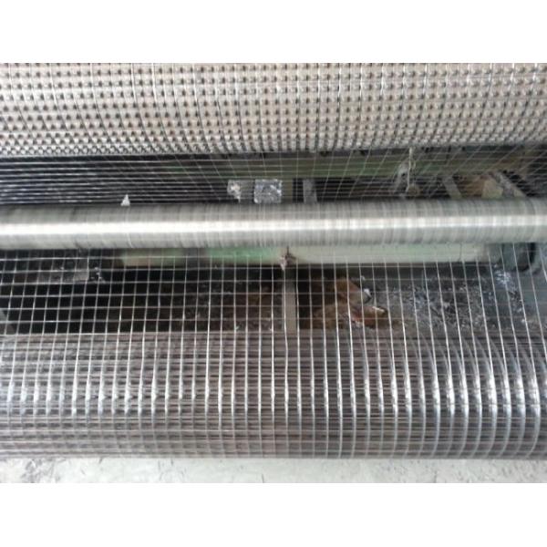 1/2''X 1/2'' Stainless Steel Welded Mesh Rolls For Breeding Protection High Strength