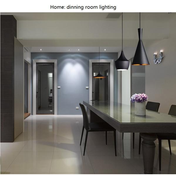 Instrument Shaped LED Pendant Light