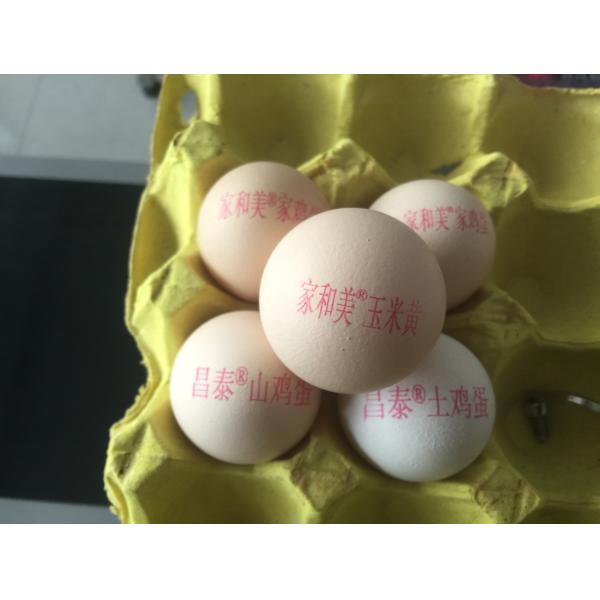 SGS Approve 50/60 HZ Egg Printing Machine For Chicken Farm Production Line