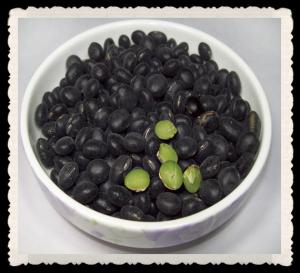 Quality Organic Black Soybean Powder Supplier for sale