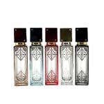 Wholesale Perfume Sub Bottled High-End Portable 50ml Sample Spray Bottle