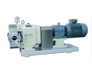 Quality TLB Series Food Industry Stainless Steel Transfer Pump For Yeast Mud for sale