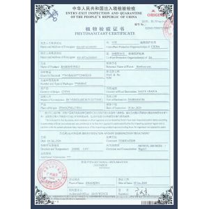 Shanghai Forever Import & Export Co., Ltd. Certifications