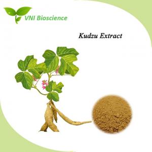 Quality Natural Kudzu Root Extract Enhance Immunity Pueraria Extract for sale