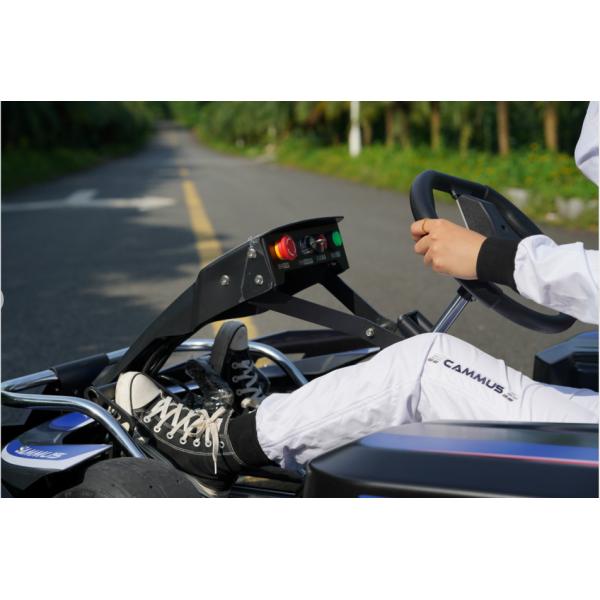 Professional Single Motor Performance Go Kart 80km/H 4 Wheel Drive
