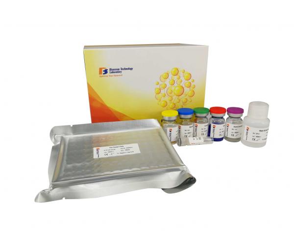 Buy Mouse Retn Resistin Elisa Kit 96 Wells 2 - 8°c Storage With High Precision at wholesale prices