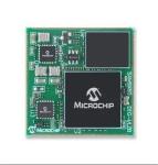 MICROCHIP PIC16F877A Original Integrated Circuits IC Electronic Components Bio