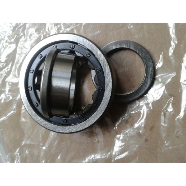 NJ305EM / C3 Flange Inside Ring Single Row Cylindrical Roller Bearings Chrome Steel V3