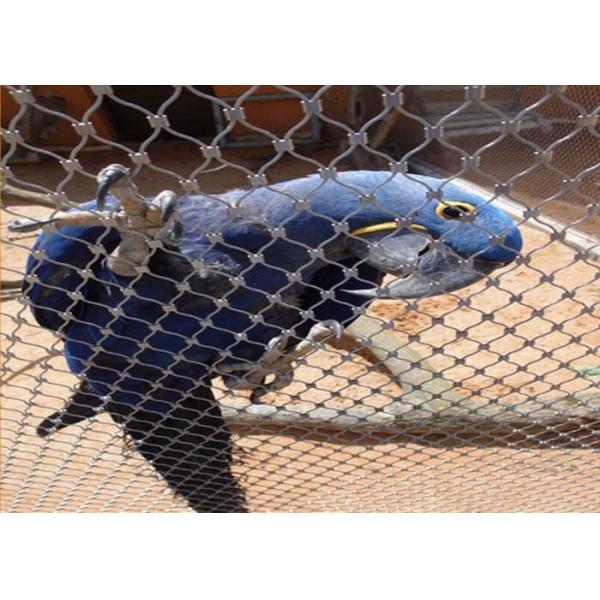 Ferruled Stainless Steel Rope Mesh / Bird Mesh Netting 7*7 / 7*19 Structure