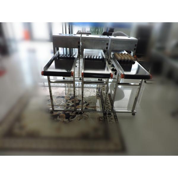 Electronic Intelligent 12 V Egg Printer Machine With One Year Warranty Time