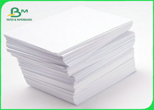 2 200g Coated Highlight Photo Paper Roll , Waterproof Printing Photo Paper