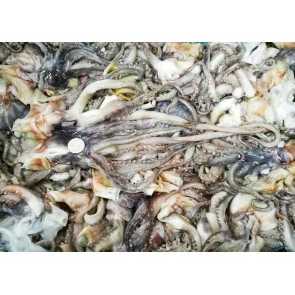 Equator Squid Tentacles Open Neck 500g Size Iso22000 Certification