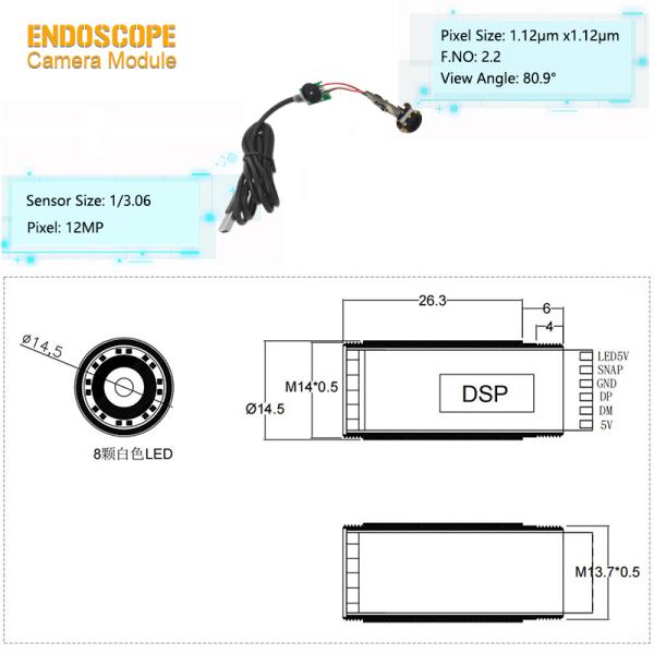 12MP High-Performance CMOS Sensor Led Endoscope Camera Module