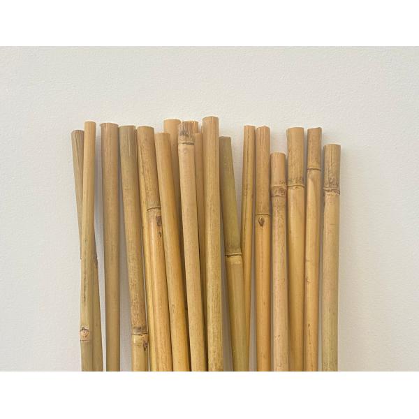 Tonkin Bamboo Cane 6mm-30mm Diameter for Plant Support