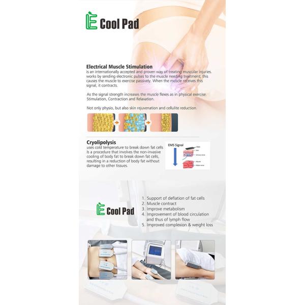 Easy Use Portable EMS Sculpting Machine , Fat Freezing Equipment For Body Shaping