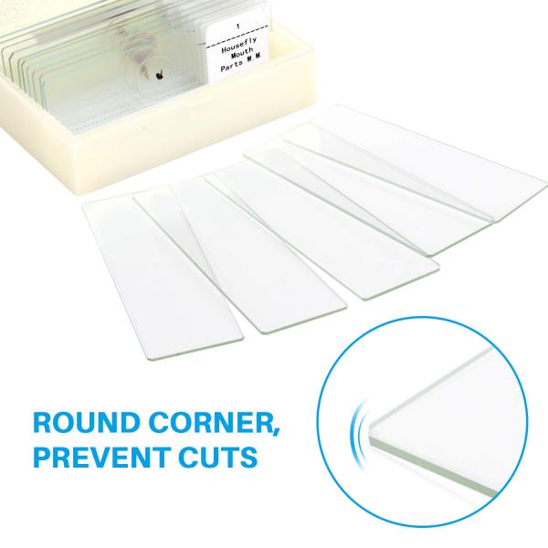 Medical Lab 12pcs Prepared Botany Slides On Plant Research