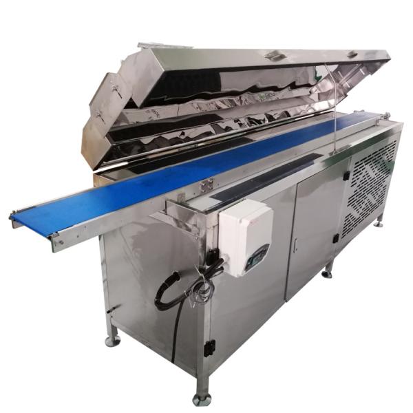 Sticky Date Ball Production Line Efficient & Automated Snack Manufacturing