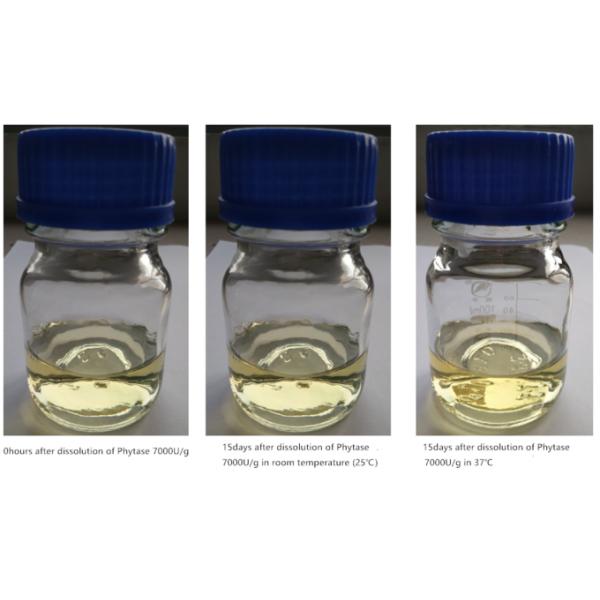 White Watersoluble Phytase Enzyme Powder Feed And Food Grade 1