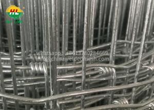 Quality Hot Dipped Galvanized 2mm Wire Grassland Steel Woven Hinge Joint Wire Mesh Field Fence, Cattle Fence & Horse Fence for sale