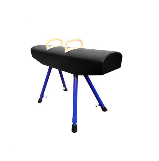 Fig Approval Gymnastics Artistic Gymnastics Rotating Pod Trainer