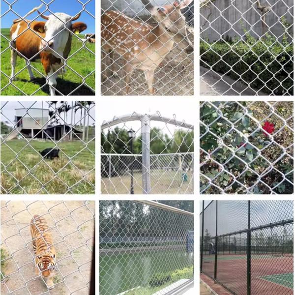 Security Type Hot Dipped Galvanized Chain Link Fence For Farm Garden