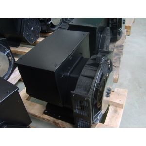 Quality 220V AC Alternator 50HZ Single Phase Generator Head for Genset for sale