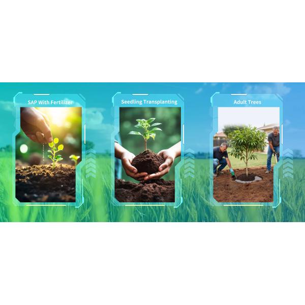 Environmentally Friendly Sap Super Absorbent Polymer 9003-04-7 Sap Sodium Polyacrylate