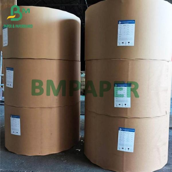 FBB Board 275g 300g GC1 Bleach Cardboard Folding Box Paper Rolls 635mm Width