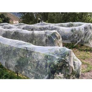 Quality HDPE Anti Insect Netting for Greenhouse and Plant Protection for sale