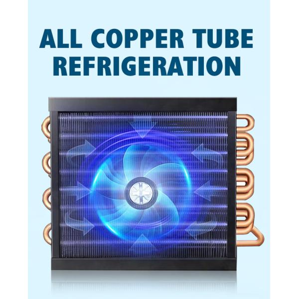 210W 500L Double Doors Upright Freezer Commercial Refrigeration Equipment