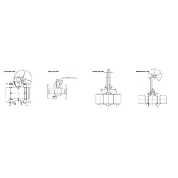 PTFE Viton Seat Floating Ball Valve WCB Stainless Steel Flanged