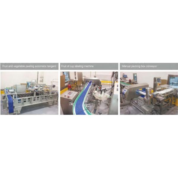 Fresh Cut Vegetable Canning Equipment Stainless Steel IP65 Protection Grade