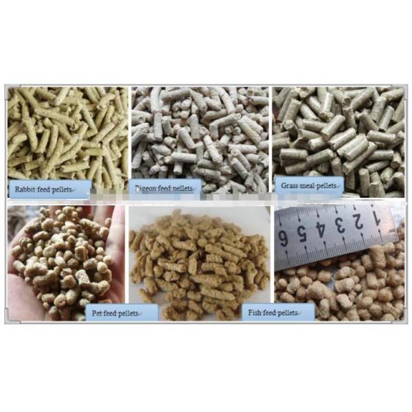 380V 50Hz Feed Pellet Production Line 2mm To 10mm Animal Feed Pelletizer