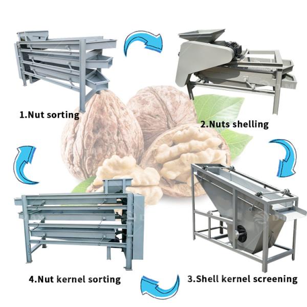 Nut Processing Apricot Kernel Cracking Shelling Machine Almond Shell Separating Machine