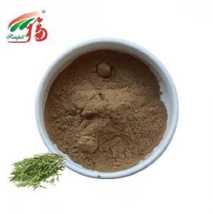 Quality Antioxidant Rosemary Extract Powder Rosmarinic Acid HPLC For Food Additive for sale
