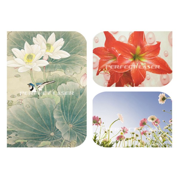 3d Effect Automatic Vertical Art Wall Mural Inkjet Printers Machine on Wall/Glass/Wood/Ceramic/Metal