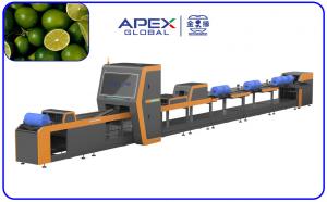 China 380V / 50Hz Automatic Lemon Sorting Machine With PLC Control System on sale